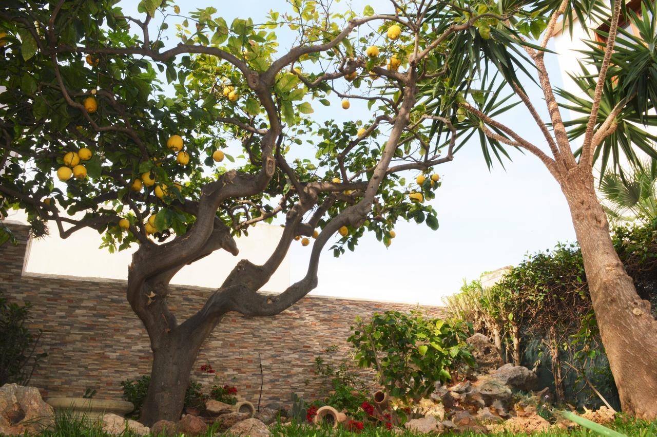 Bed and Breakfast Kimos San Vito Lo Capo Exteriér fotografie