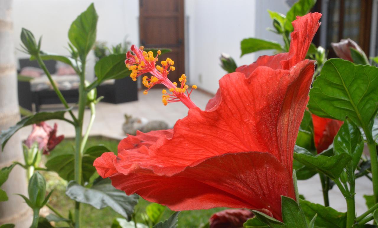 Bed and Breakfast Kimos San Vito Lo Capo Exteriér fotografie